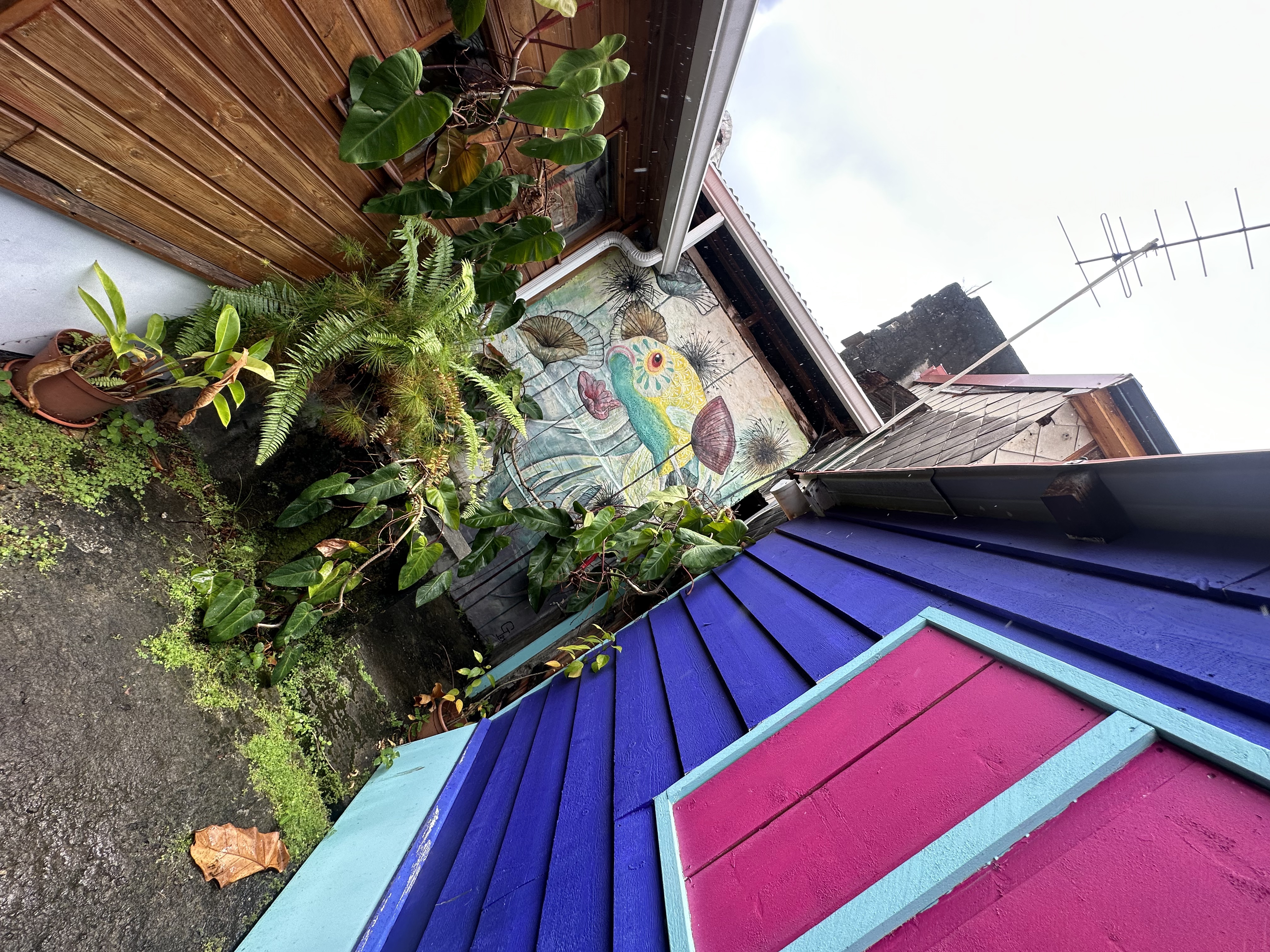 Photo n° 3 de l'avis de Franck.a fait le 20/03/2023 à 16:29