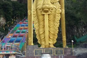 Ottrai Panai Marathu Kaliyamman Temple image