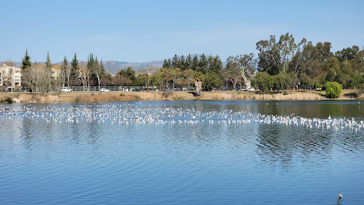 Almaden Lakeview