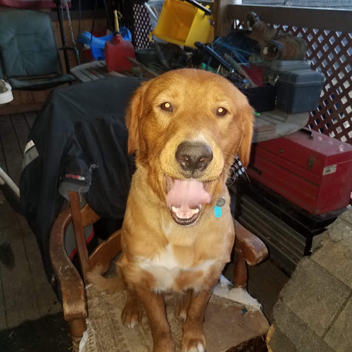 Pet Supply Store «Petco Animal Supplies», reviews and photos, 200 McMahan Blvd, Marion, OH 43302, USA