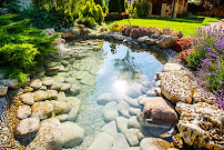 AA Glendale Landscapers - Photo 8 - Car repair in , Burbank