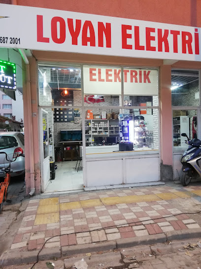 Loyan Elektrik & Otomativ