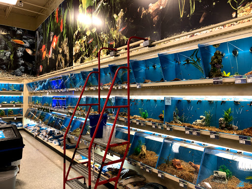 Pet Supply Store «PetSmart», reviews and photos, 3585 N Shiloh Dr, Fayetteville, AR 72703, USA