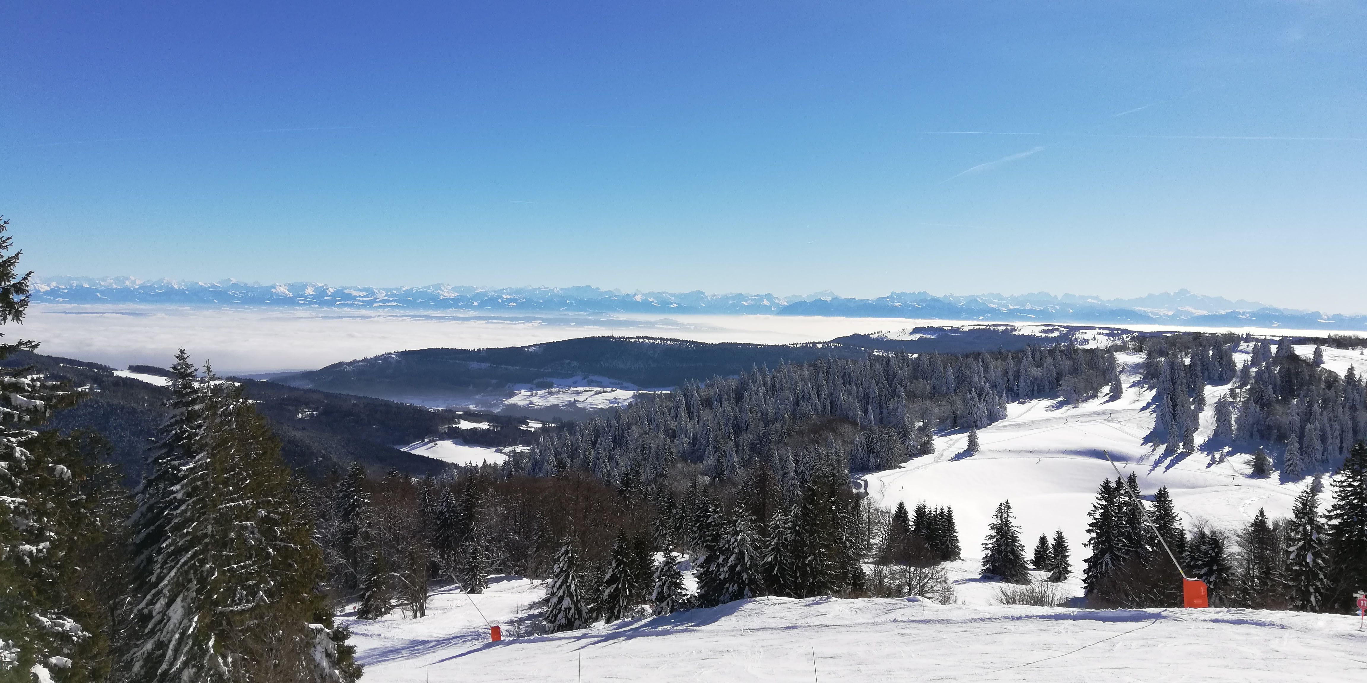 Photo n° 1 de l'avis de Parmic.i fait le 06/02/2019 à 17:35