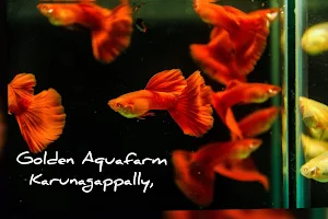 Golden Aquafarm & Aquariums Karunagapally image