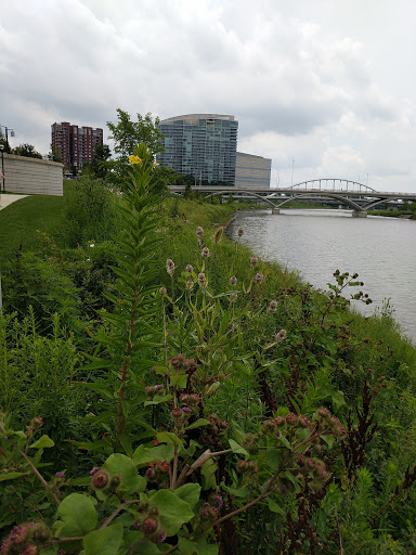 Stadium «Huntington Park», reviews and photos, 330 Huntington Park Ln, Columbus, OH 43215, USA