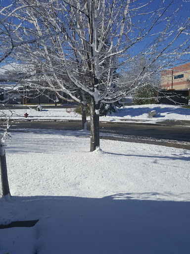 Thrift Store «Sister Carmen Community Center Thrift Store - Shop 9am-6pm, Donate 9am-5pm», reviews and photos