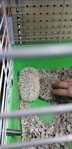 Pet Store «V.I. Pets», reviews and photos, 11975 E Lakewood Blvd, Holland, MI 49424, USA