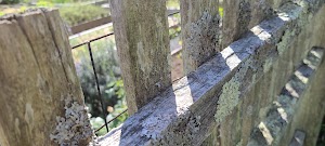 Rockingham Historic Site - photo 93