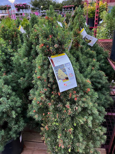 Home Improvement Store «The Home Depot», reviews and photos, 736 Route 202 South, Bridgewater, NJ 08807, USA