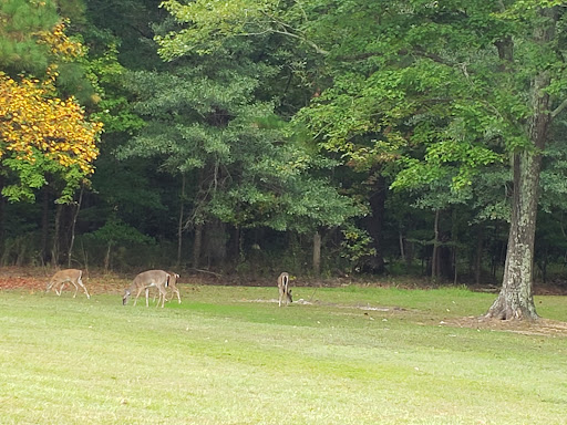 Golf Club «Stumpy Lake Golf Course», reviews and photos, 4797 Indian River Rd, Virginia Beach, VA 23456, USA