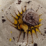 Photo n°1 de l'avis de michela.u fait le 23/11/2019 à 22:11 sur le  La Mimosa à Pinerolo