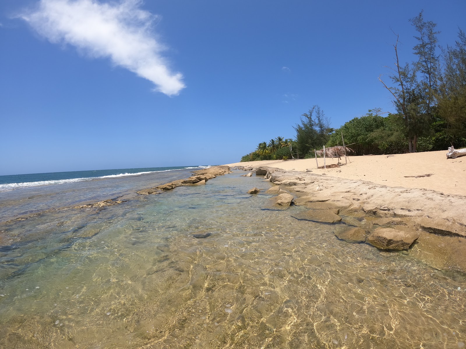 Fotografie cu Punta Borinquen II beach zonă sălbatică