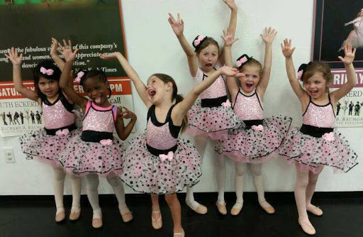 Dance School «Dance and Circus Arts of Tampa Bay», reviews and photos, 1490 N Belcher Rd, Clearwater, FL 33765, USA