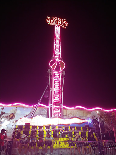 Festival «Chelsea Community Fair», reviews and photos, 20501 W Old US Hwy 12, Chelsea, MI 48118, USA