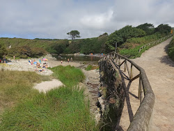 Playa de la Paloma'in fotoğrafı çok temiz temizlik seviyesi ile