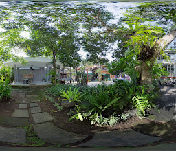 Monkey Cave Espresso Ubud photo
