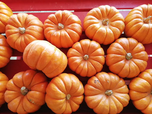 Florist «Sequoia Flowers Produce & More», reviews and photos, 20940 Ave 296, Exeter, CA 93221, USA