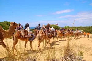 Aires Africanos - Ecoturismo en camello por Doñana image