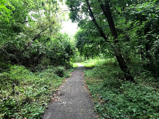 Nature Preserve «Dolan Pond Conservation Area», reviews and photos, Webster Park, West Newton, MA 02465, USA