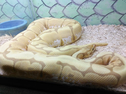 Pet Store «Incredible Pets Inc», reviews and photos, 2255 N Wickham Rd # 102, Melbourne, FL 32935, USA