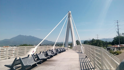 Puente atirantado Las Banderas