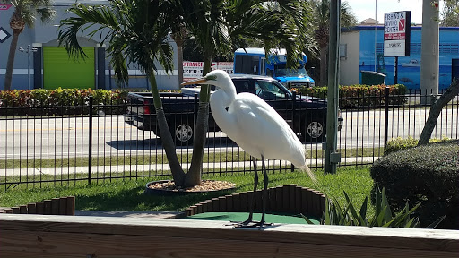 Miniature Golf Course «Golf N Gator», reviews and photos, 6355 N Atlantic Ave, Cape Canaveral, FL 32920, USA
