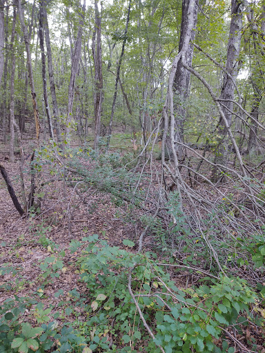 Playground «Haskell Field», reviews and photos, 40 Fairbank Rd, Sudbury, MA 01776, USA