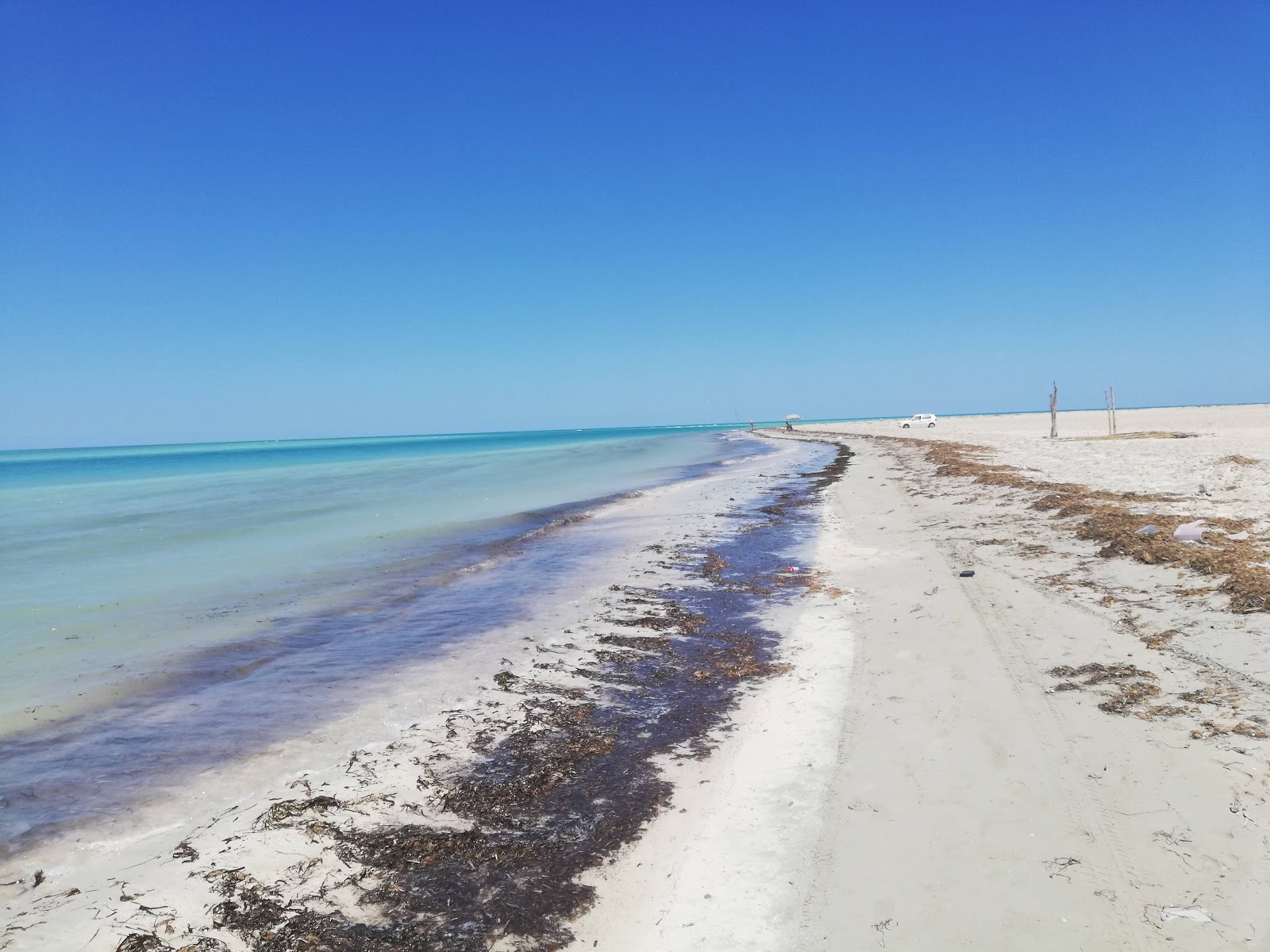 Foto von Zarziskite Sarl II mit weißer sand Oberfläche