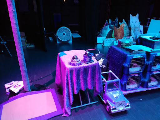 Performing Arts Theater «Diana Wortham Theatre», reviews and photos, 18 Biltmore Ave, Asheville, NC 28801, USA