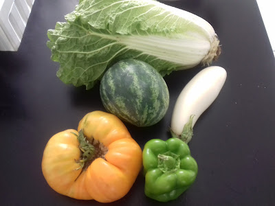 La Terre Ferme, Régis Et Mélanie Dufrenoy à Cantin