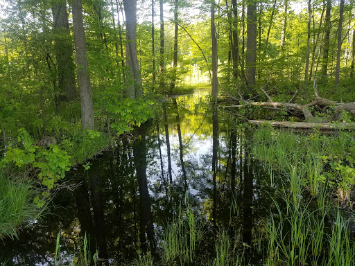 Park «Willow Metropark», reviews and photos, 23200 S Huron Rd, New Boston, MI 48164, USA