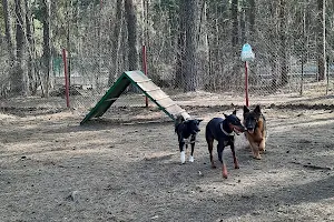 dog Playground image