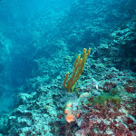 Photo n°1 de l'avis de Fabio.a fait le 09/07/2020 à 12:57 sur le  Porto Badisco à Porto Badisco