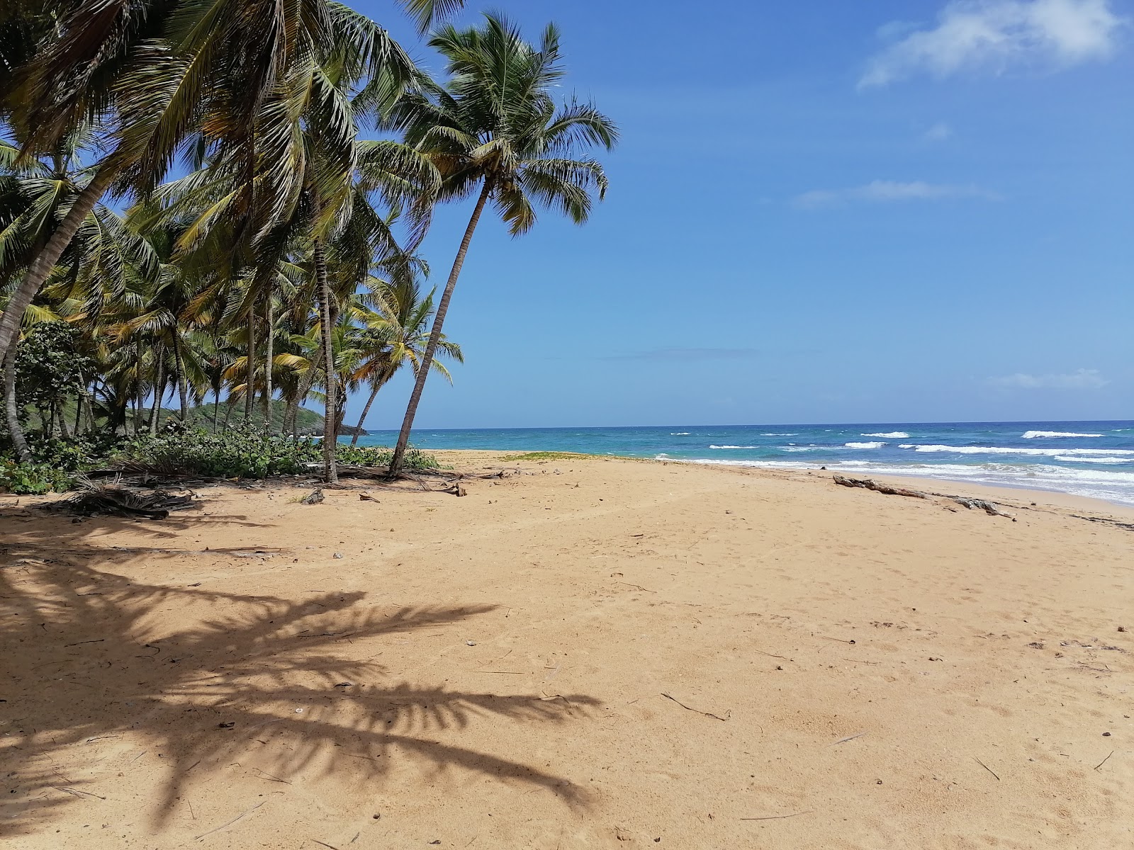 Photo of Playa Lanza del Norte with brown fine sand surface