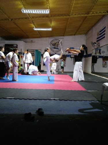 Academia Taekwondo - Gimnasio