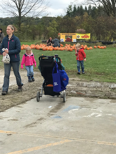 Car Dealer «Cascade Auto Group», reviews and photos, 4149 State Rd, Cuyahoga Falls, OH 44223, USA