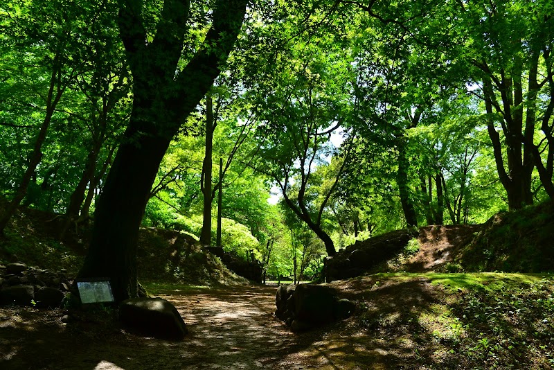 躑躅ヶ崎館 西曲輪北側桝形虎口跡