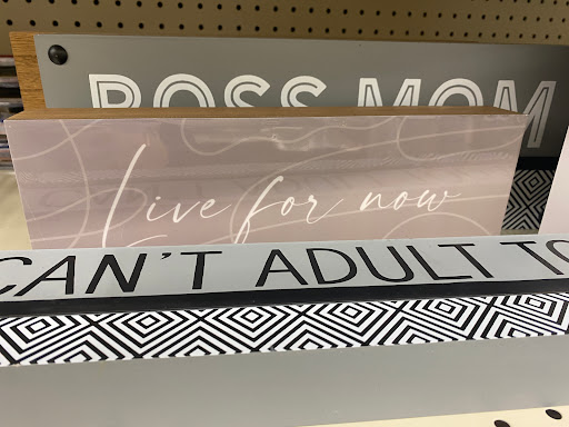 Discount Store «Big Lots», reviews and photos, 290 Susquehanna Blvd, West Hazleton, PA 18202, USA