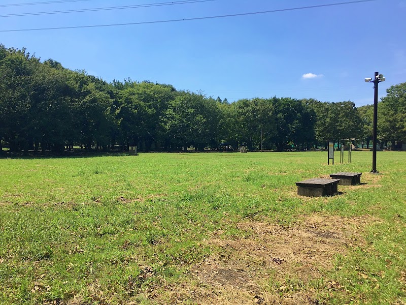 小金井公園 ユーカリ広場