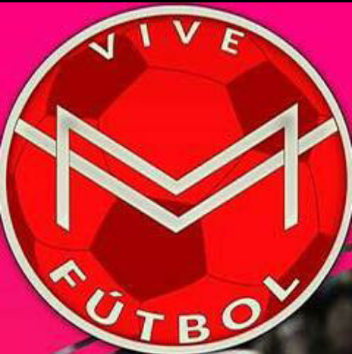 Academia Vive Futbol - Recoleta