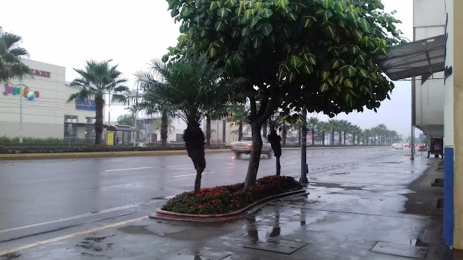 Gasolinera Terpel Machala Dos - Gasolinera