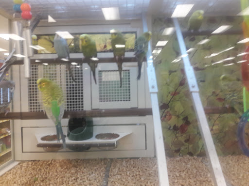 Pet Supply Store «PetSmart», reviews and photos, 4300 E Alameda Ave, Glendale, CO 80246, USA