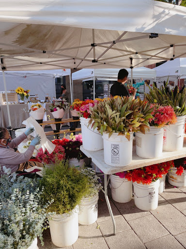 Market «Portland Saturday Market», reviews and photos, 2 SW Naito Pkwy, Portland, OR 97204, USA