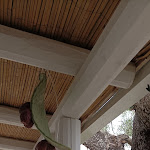 Photo n°3 de l'avis de sergio.e fait le 09/04/2023 à 15:50 sur le  Cicerietria à Otranto