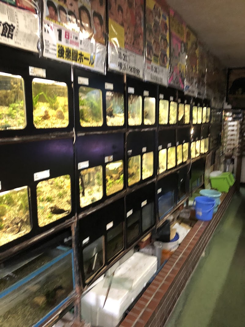 津山ペット珍怪魚水族館