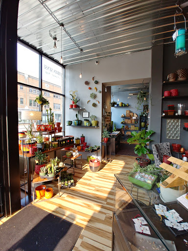 Florist «Urban Sense», reviews and photos, 5402 W Vliet St, Milwaukee, WI 53208, USA