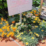 Photo n°2 de l'avis de Ruth.a fait le 15/06/2023 à 12:10 sur le  Hotel Mare à Portoferraio