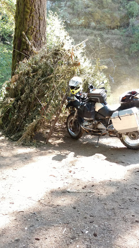 Motorcycle Repair Shop «1Up Motorsports», reviews and photos, 645 N 1st St, Dixon, CA 95620, USA