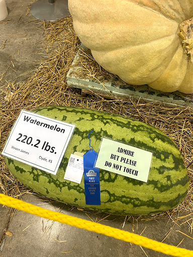 Motorcycle Dealer «Indian Motorcycle-Wichita», reviews and photos, 8205 W Kellogg Dr, Wichita, KS 67209, USA